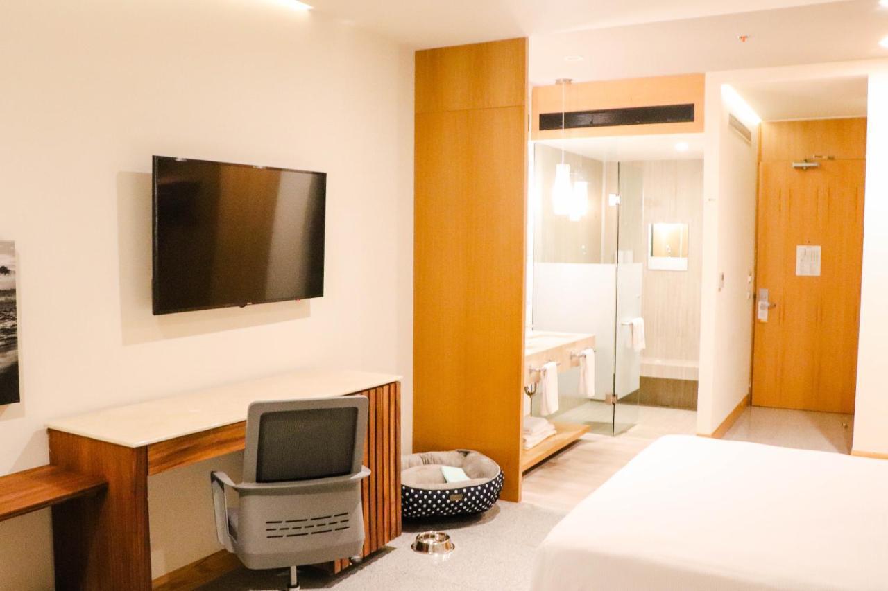 פוארטו ואלארטה Hotel Mio Vallarta Unique & Different- Adults Only מראה חיצוני תמונה A room at the hotel